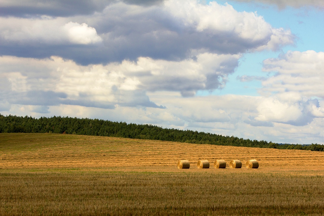 最新二龙湖,自然美景与现代发展的完美融合