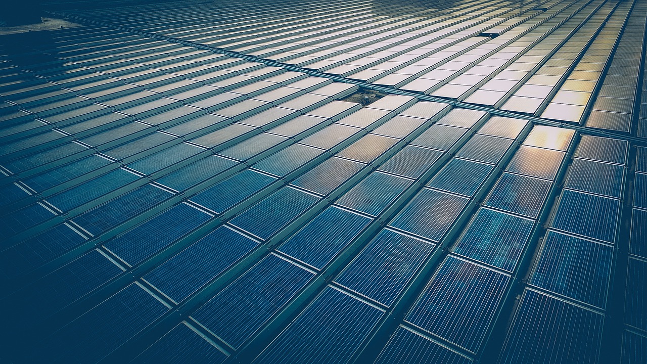 最新国外追逃动态及其国际影响分析