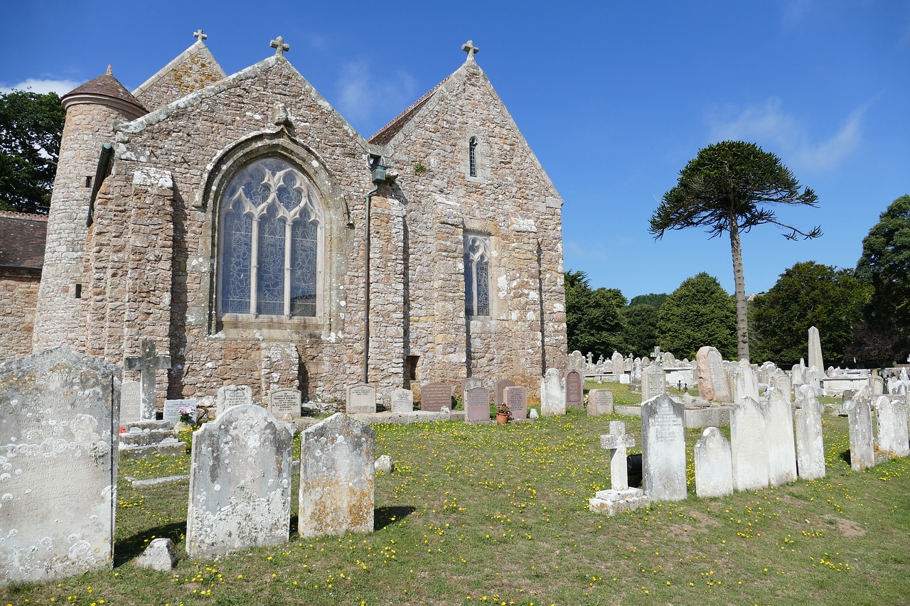 文馨苑最新动态,变迁与最新进展