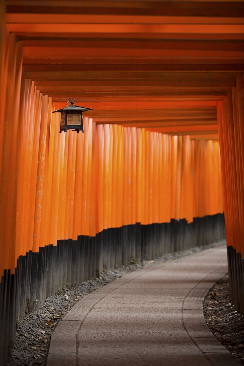 山东乳山发展动态与独特魅力最新报道