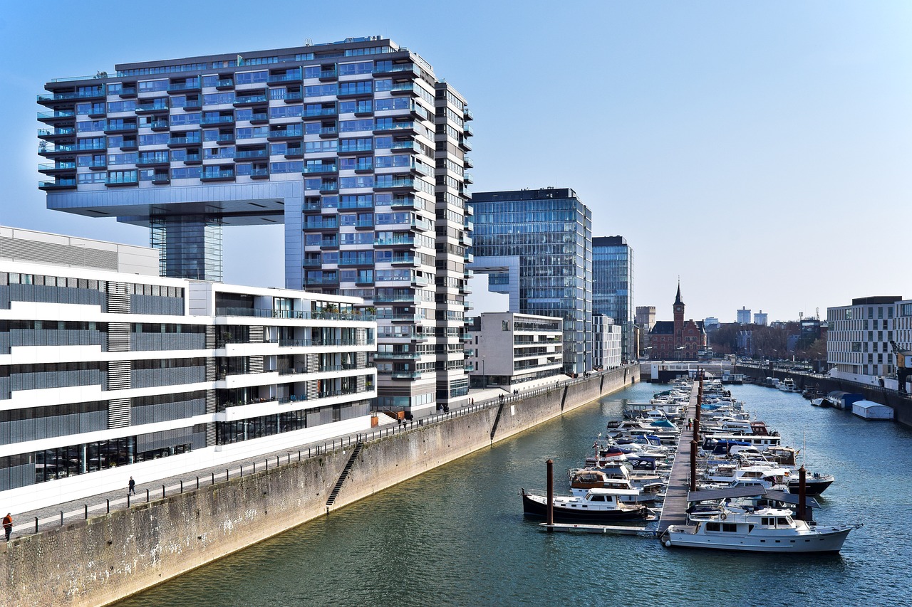 热岛最新网站,城市中的绿色信息港湾