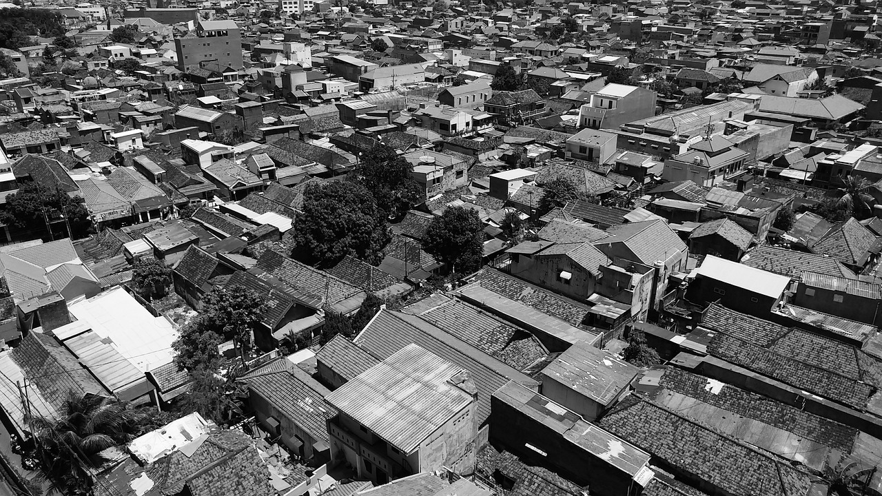 新澳正版资料免费提供,动态分析与解读_响应版WD8153.9462