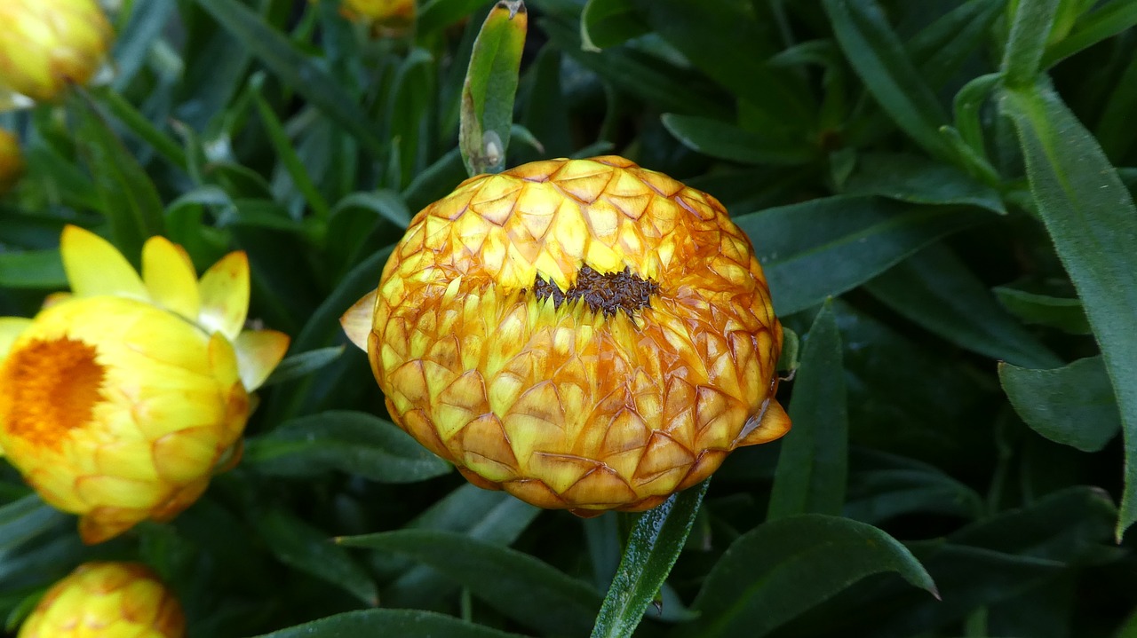 曹骏演员最新风采展现,演员2最新动态及魅力展示