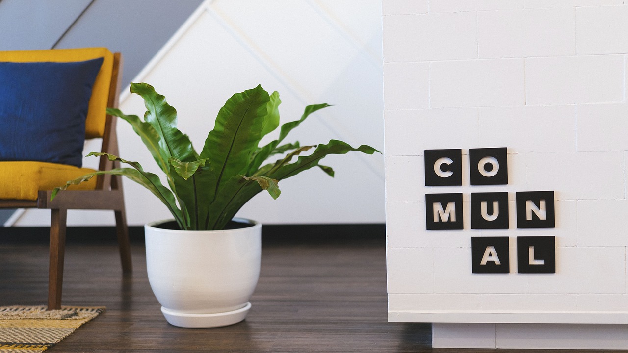 最新收纳柜,打造舒适生活空间的必备利器