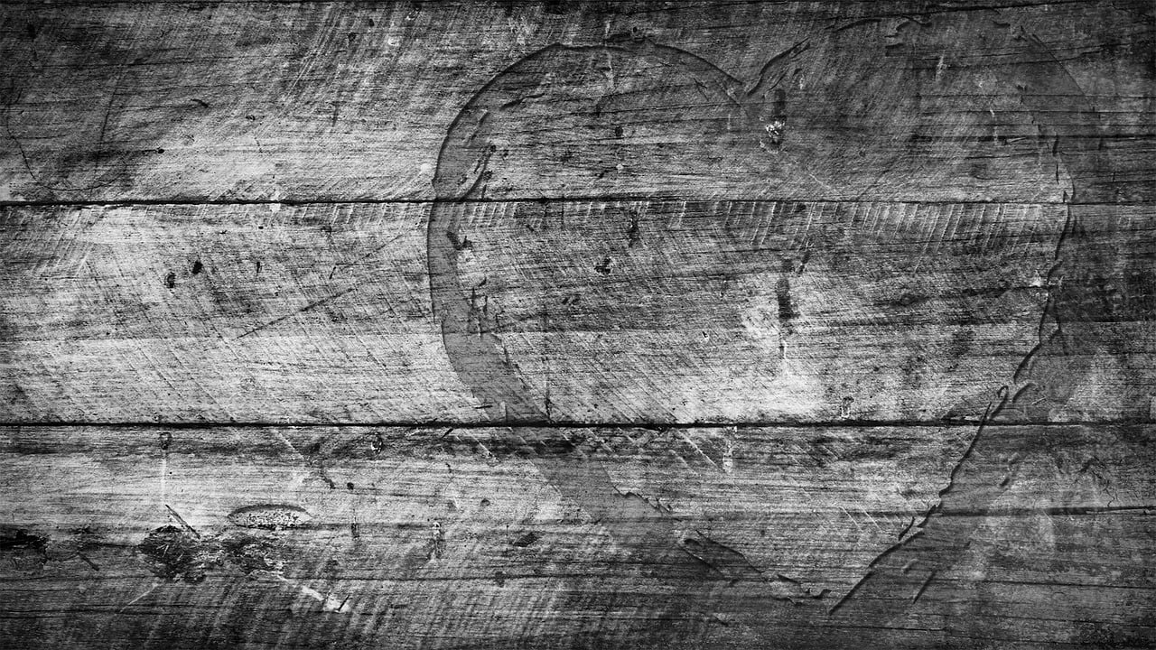 最新胚布行情深度解析