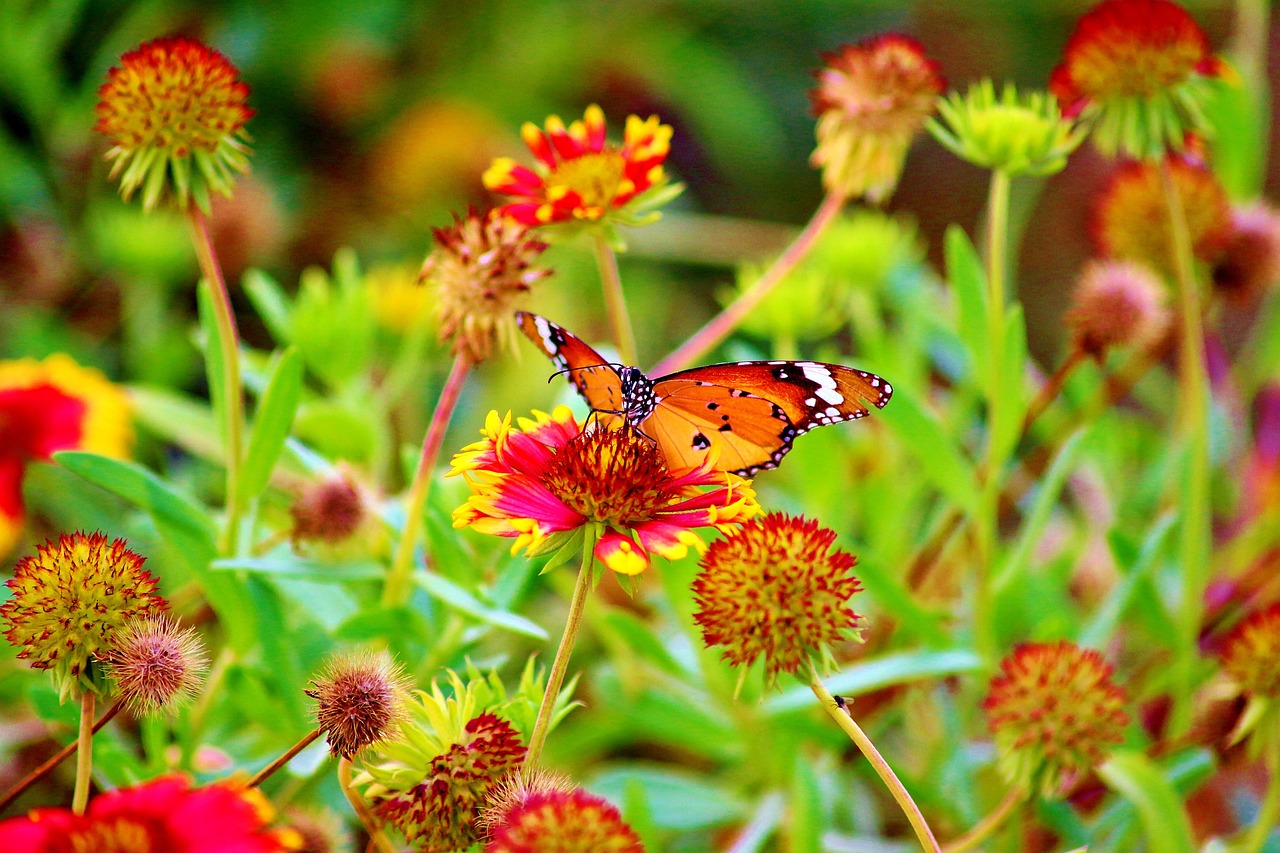 牟国清最新动态与成就,引领未来的探索者之路