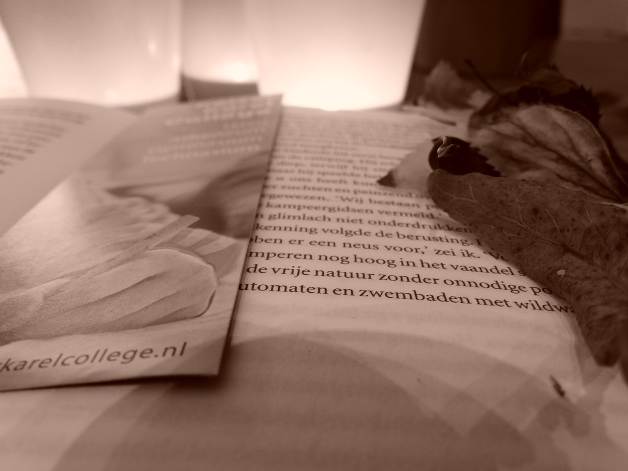 最新出小说推荐,探索文学的新疆界