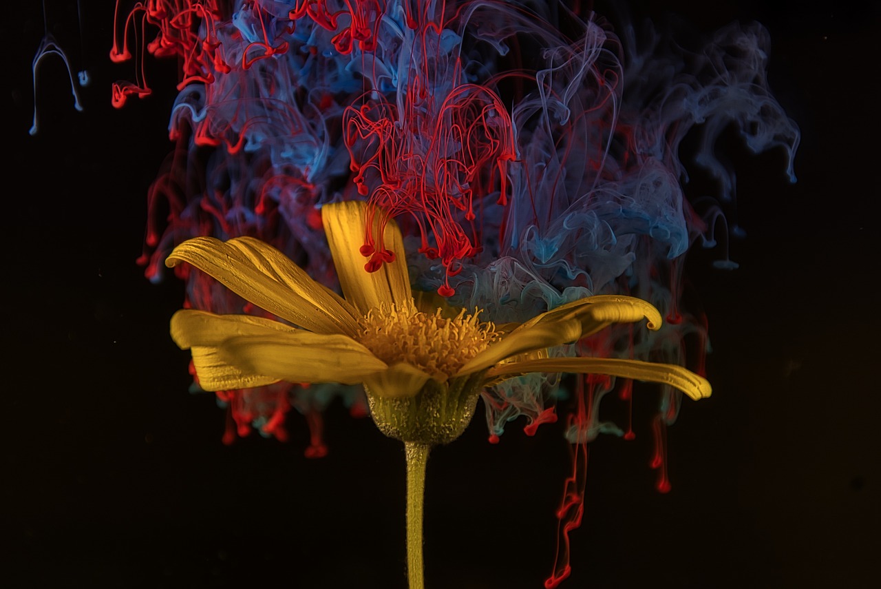 最新路飞图,海贼世界的无限探索之路