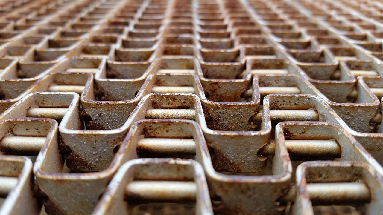 深圳回海口最新动态,探寻发展轨迹,一路向南的进展更新