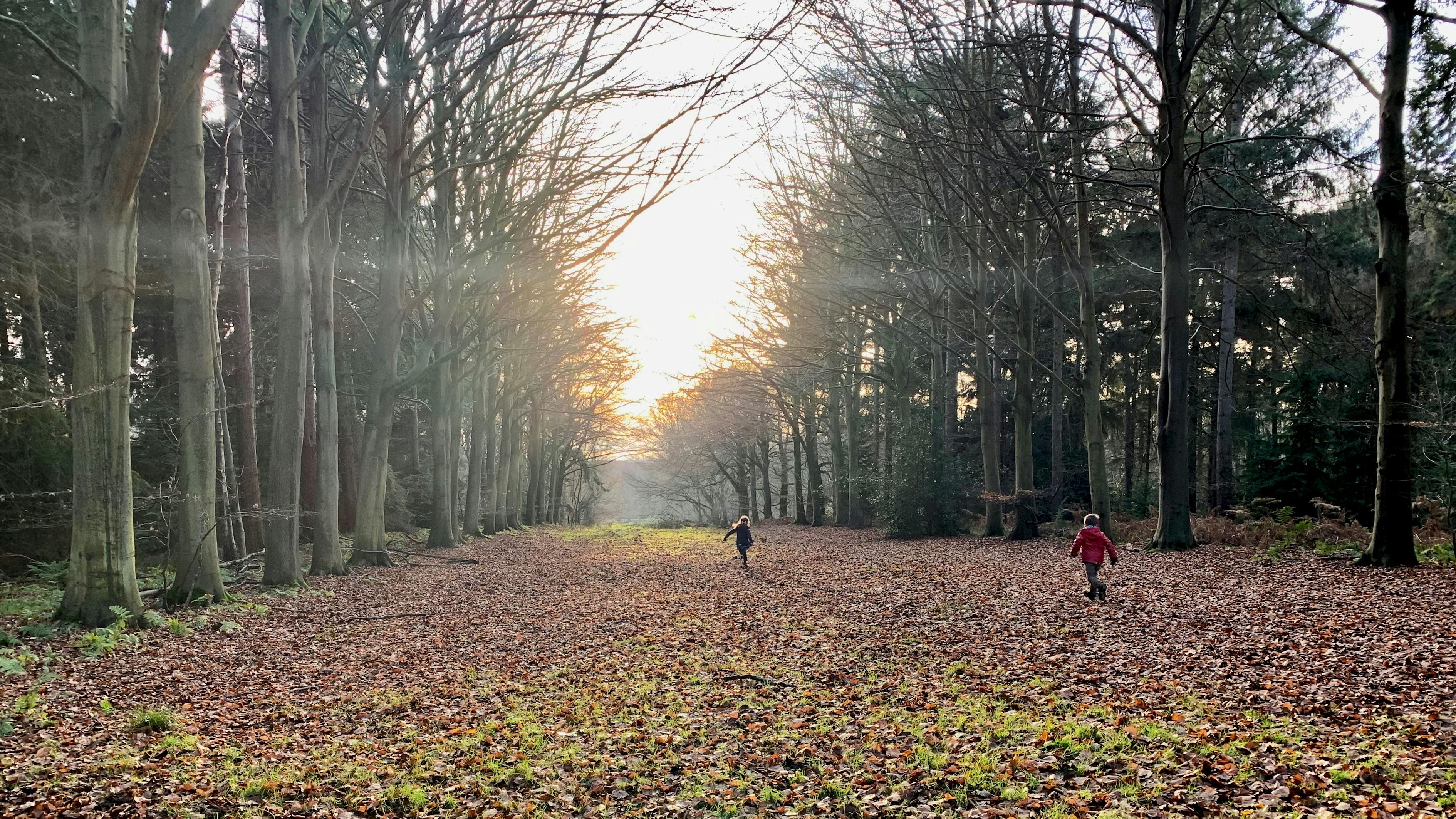 王者荣耀最新赛程动态,激动人心的竞技盛宴