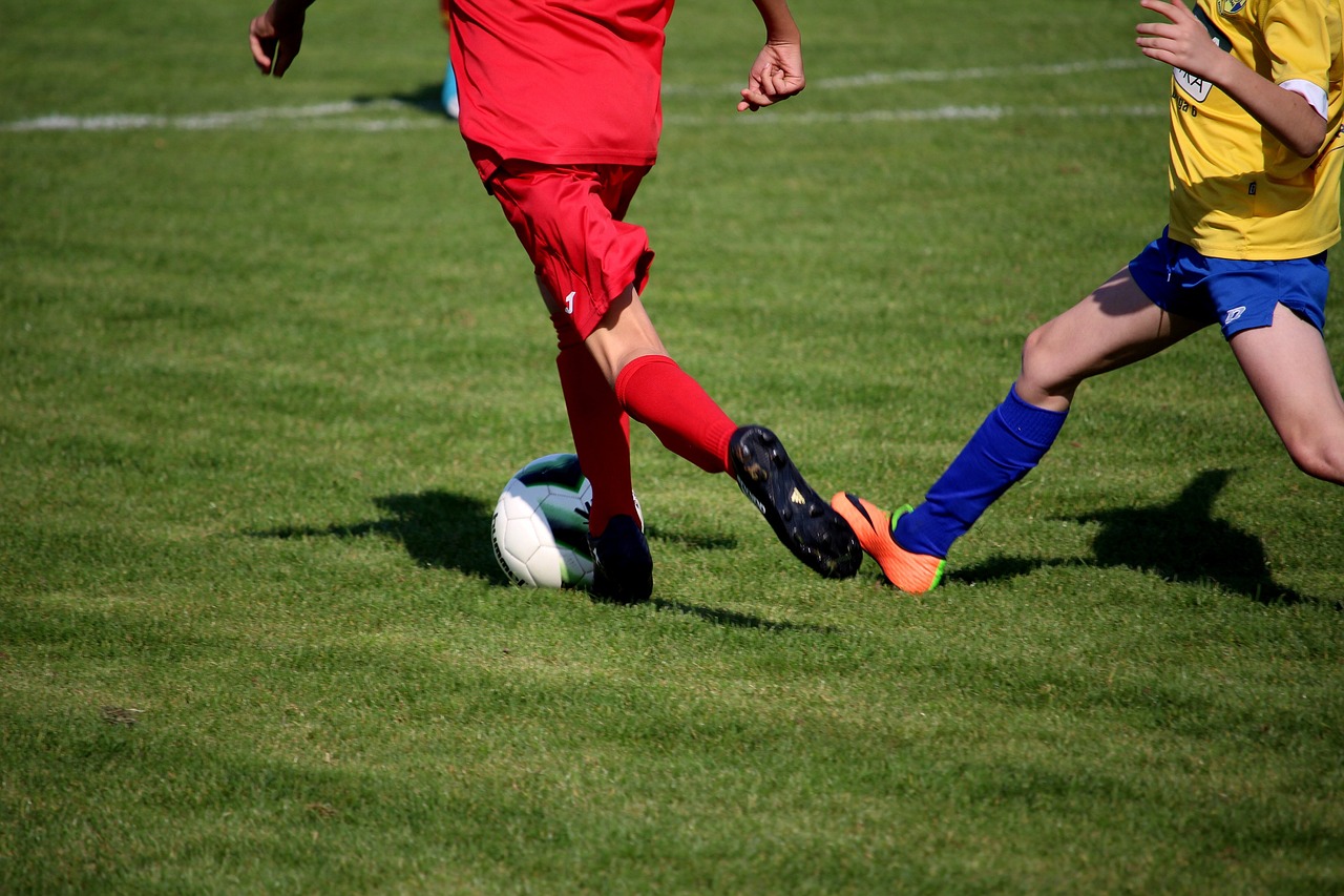 国羽持续创新展现强大实力，最新动态揭秘队伍发展动态