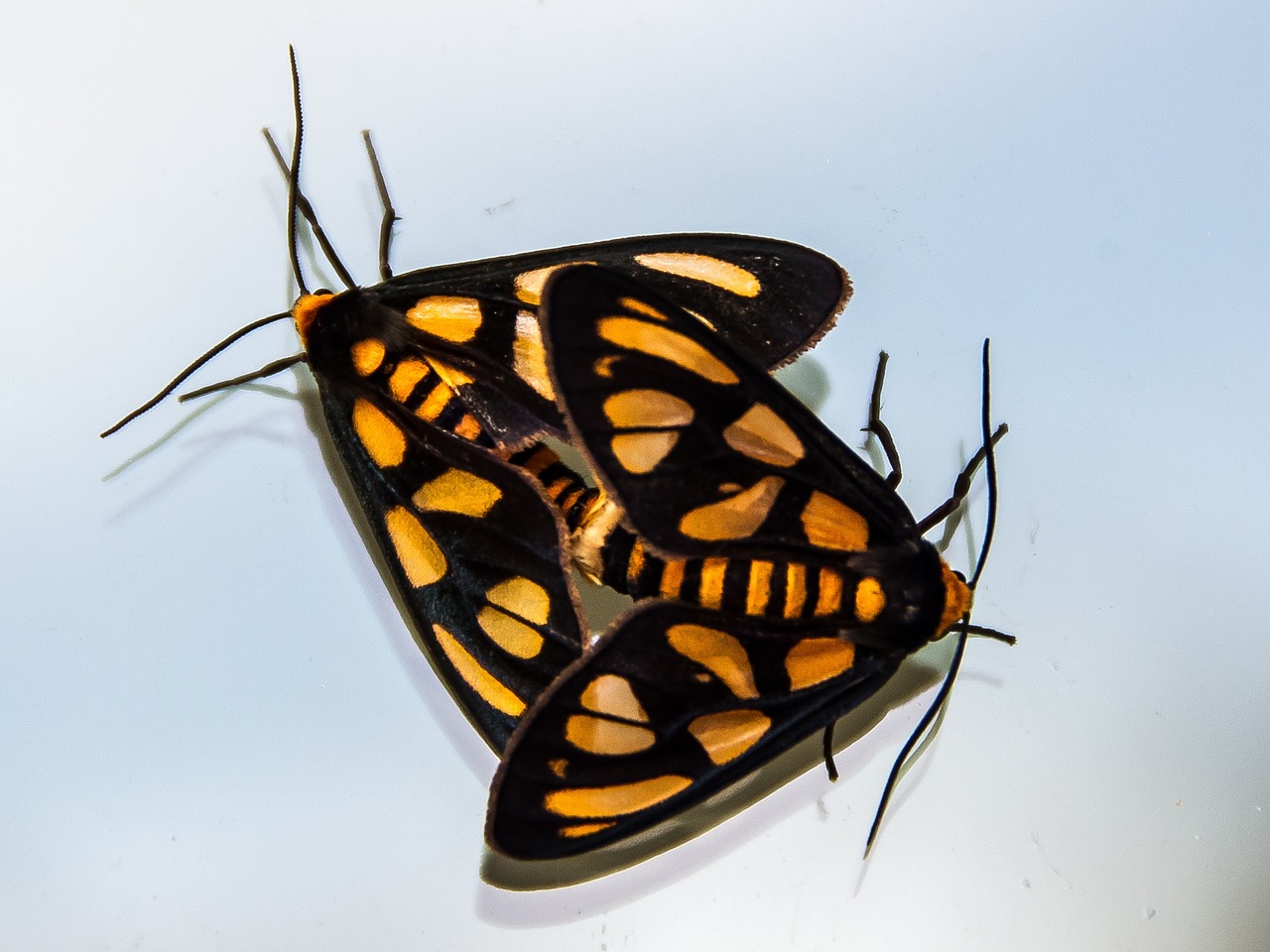 探索与突破，野浦暖的最新动态与进展