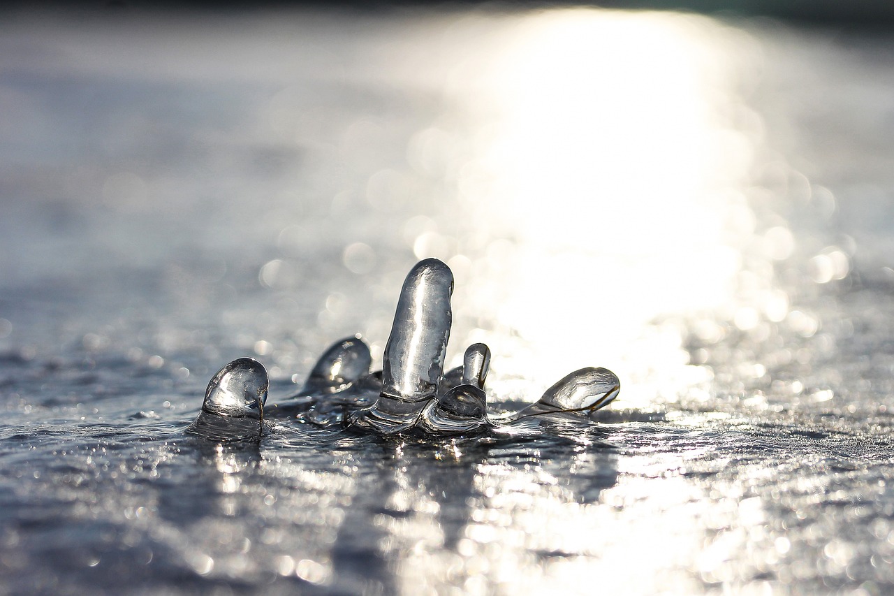 魔性社区最新动态探索,新时代的社区魅力揭秘