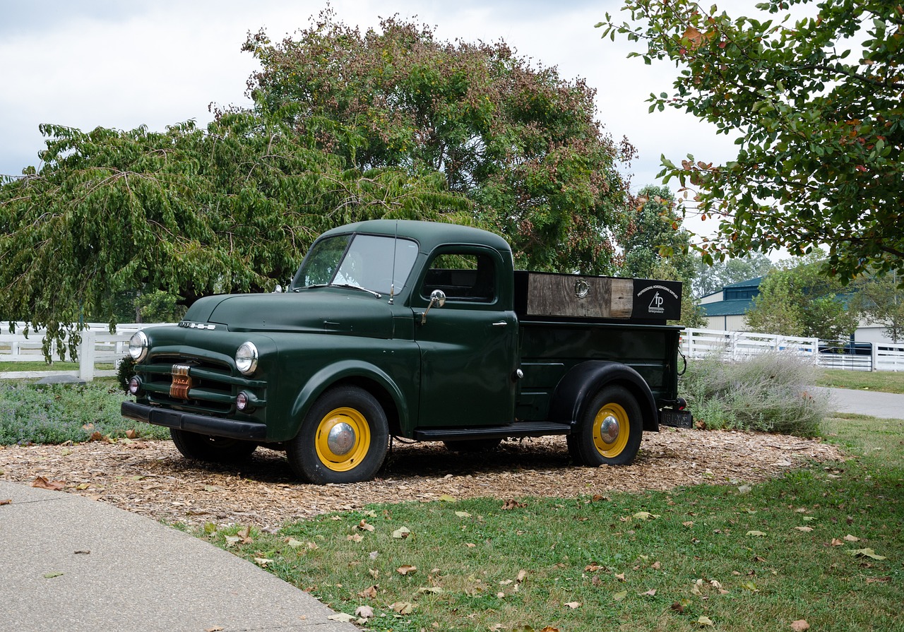 疫情经济最新动态,挑战与机遇并存的发展态势