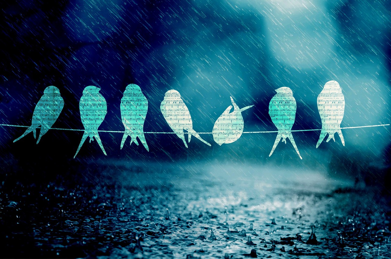 音乐与梦想的交融,最新梦泪歌单揭秘