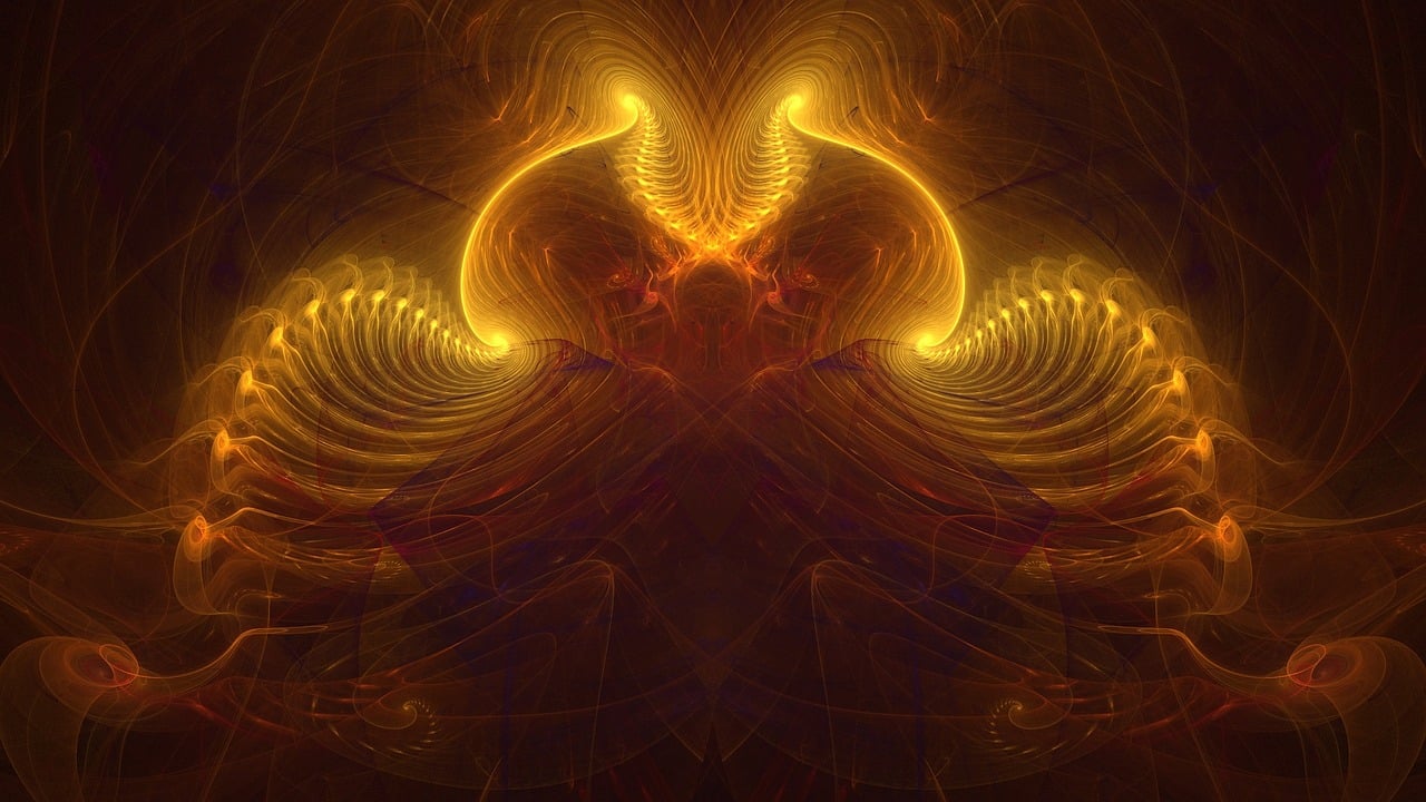 王婿小说最新动态,热血与情感的碰撞与交织