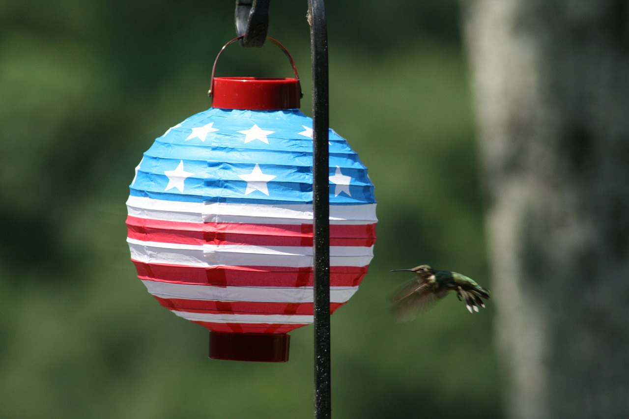全球瞩目的伊美最新动态揭秘