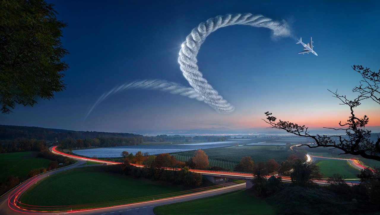 探索马树新领域,自然与科技融合的奇迹之旅