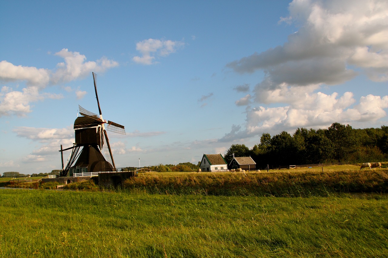 我爱我家 第36页