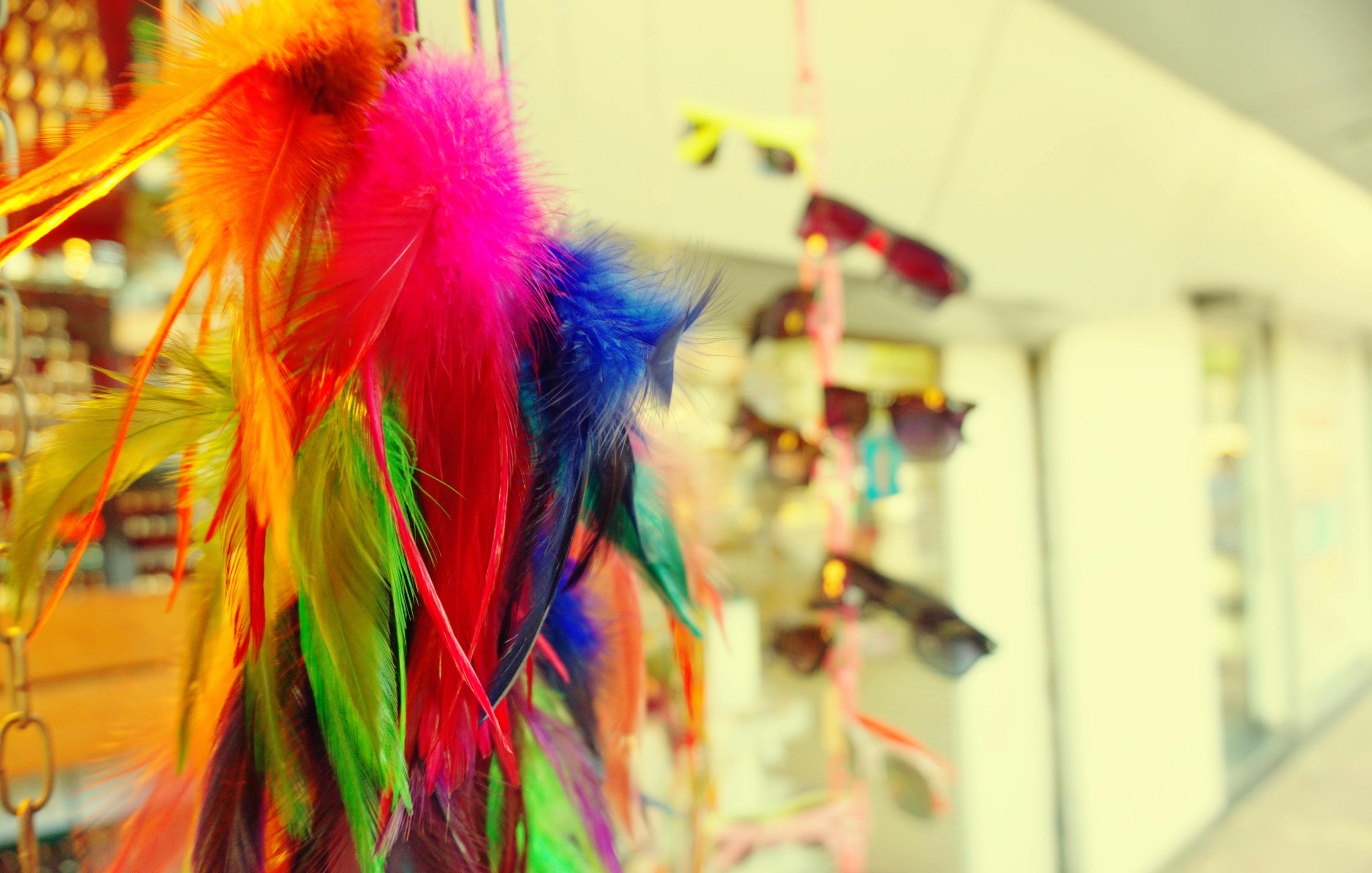 最新花色,时尚潮流的绚丽画卷展现