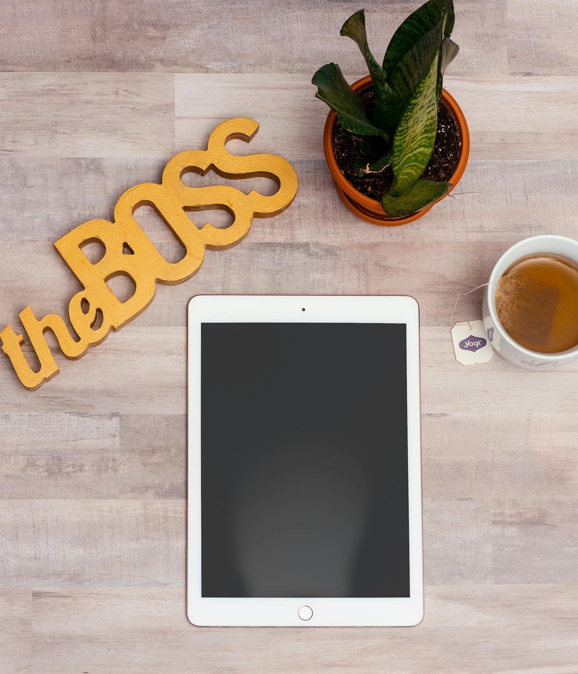 iPad看书软件最新动态及趋势分析