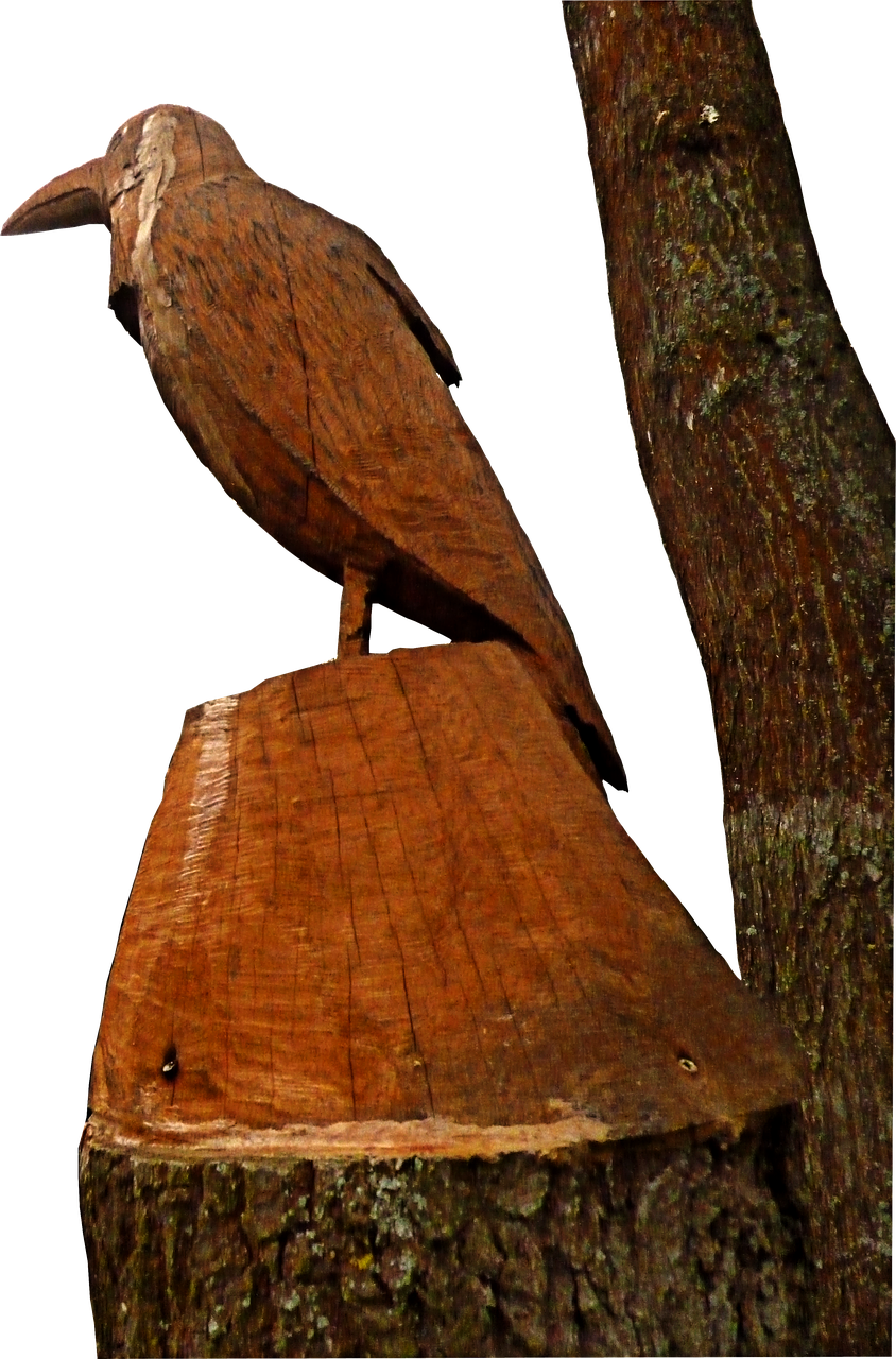 乌合麒麟最新画作,深度探索艺术中的意义与独特视角