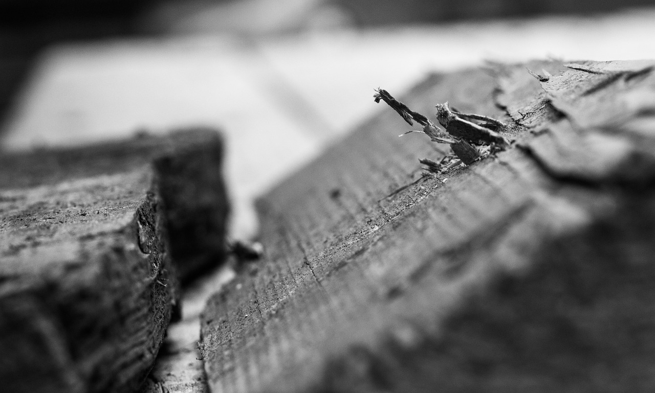 关于YQ_K的最新动态与技术革新进展