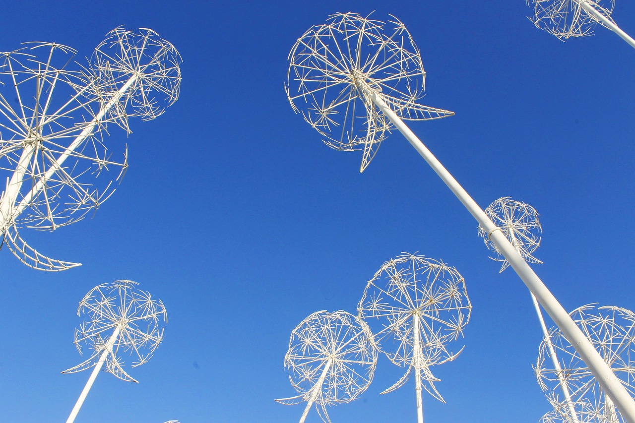 青岛天气最新图片展示与季节变化深度解析