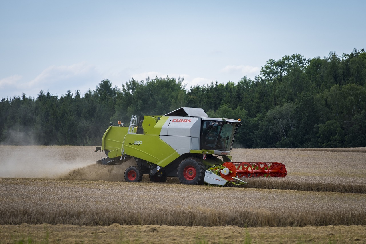 最新粮食补贴政策,推动农业现代化与农村振兴的关键措施