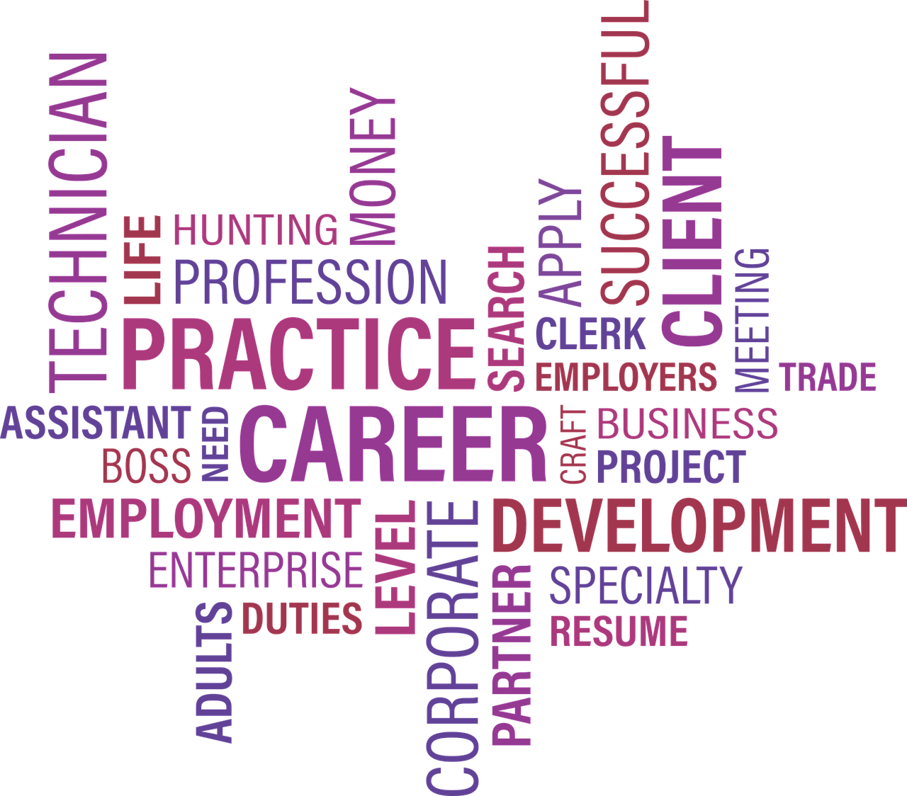 沈阳人才网最新职位招聘,探寻职业发展的无限机遇与可能