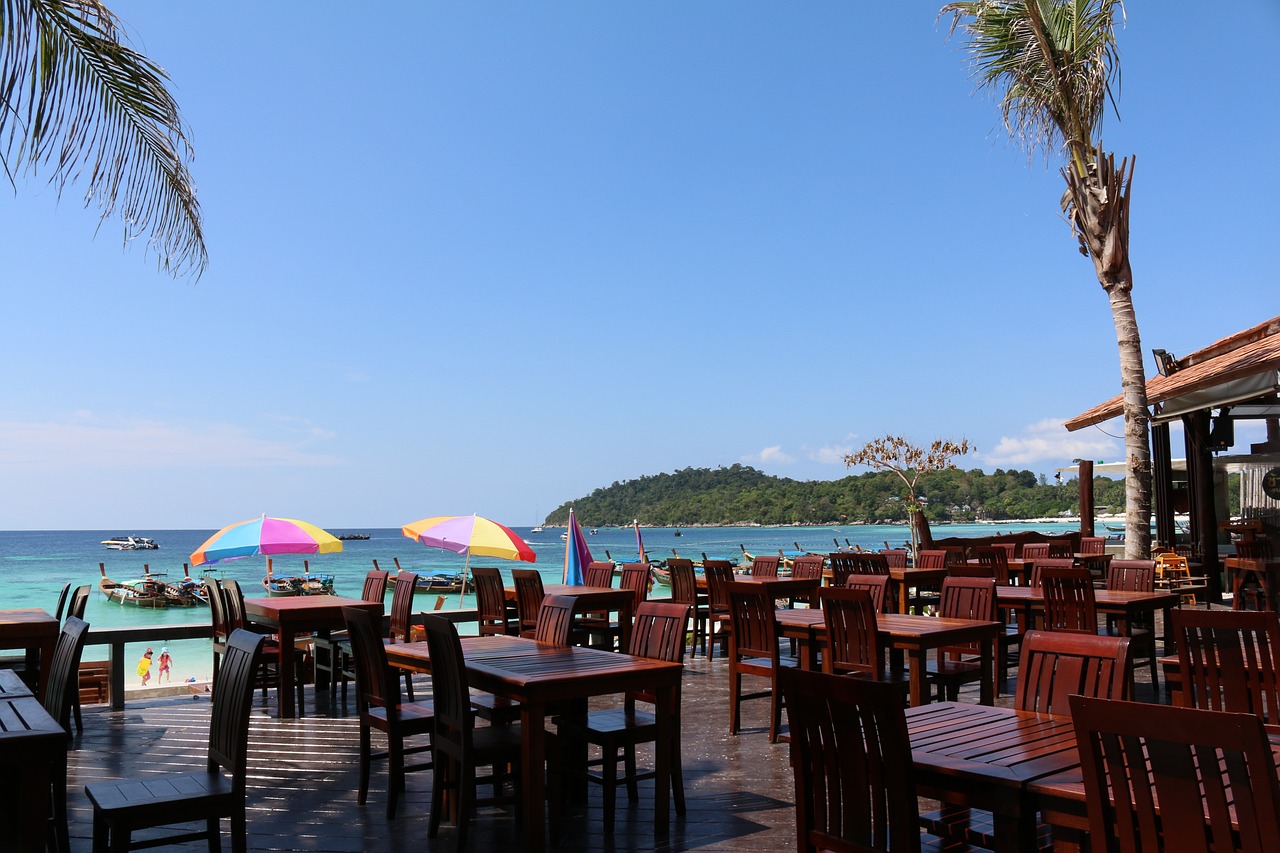 君子兰新品种的独特魅力与最新动态