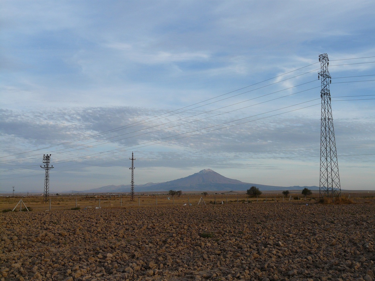 宁廷民最新动态与成就概览