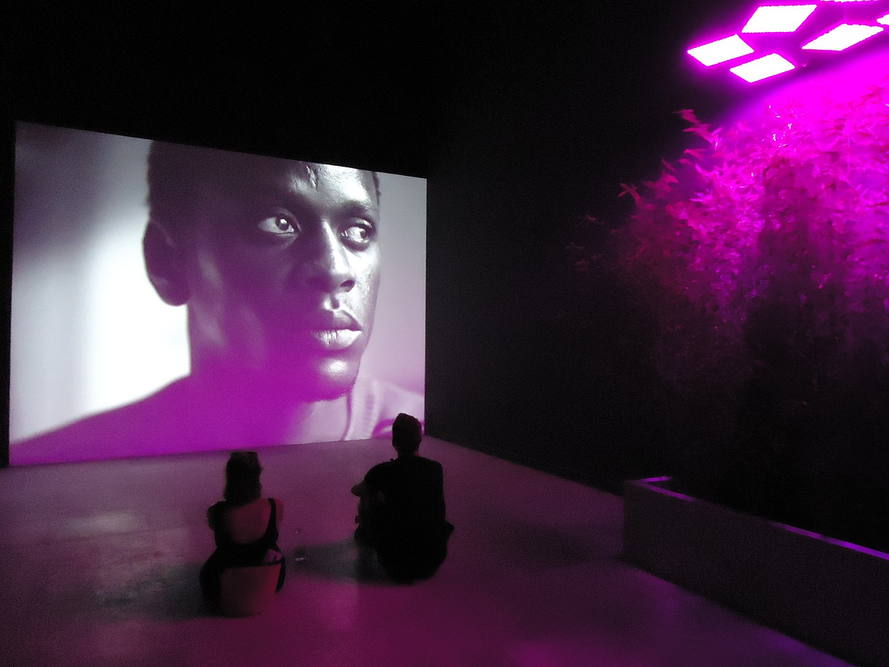 Epic最新免费领取游戏,游戏爱好者的福音时刻!