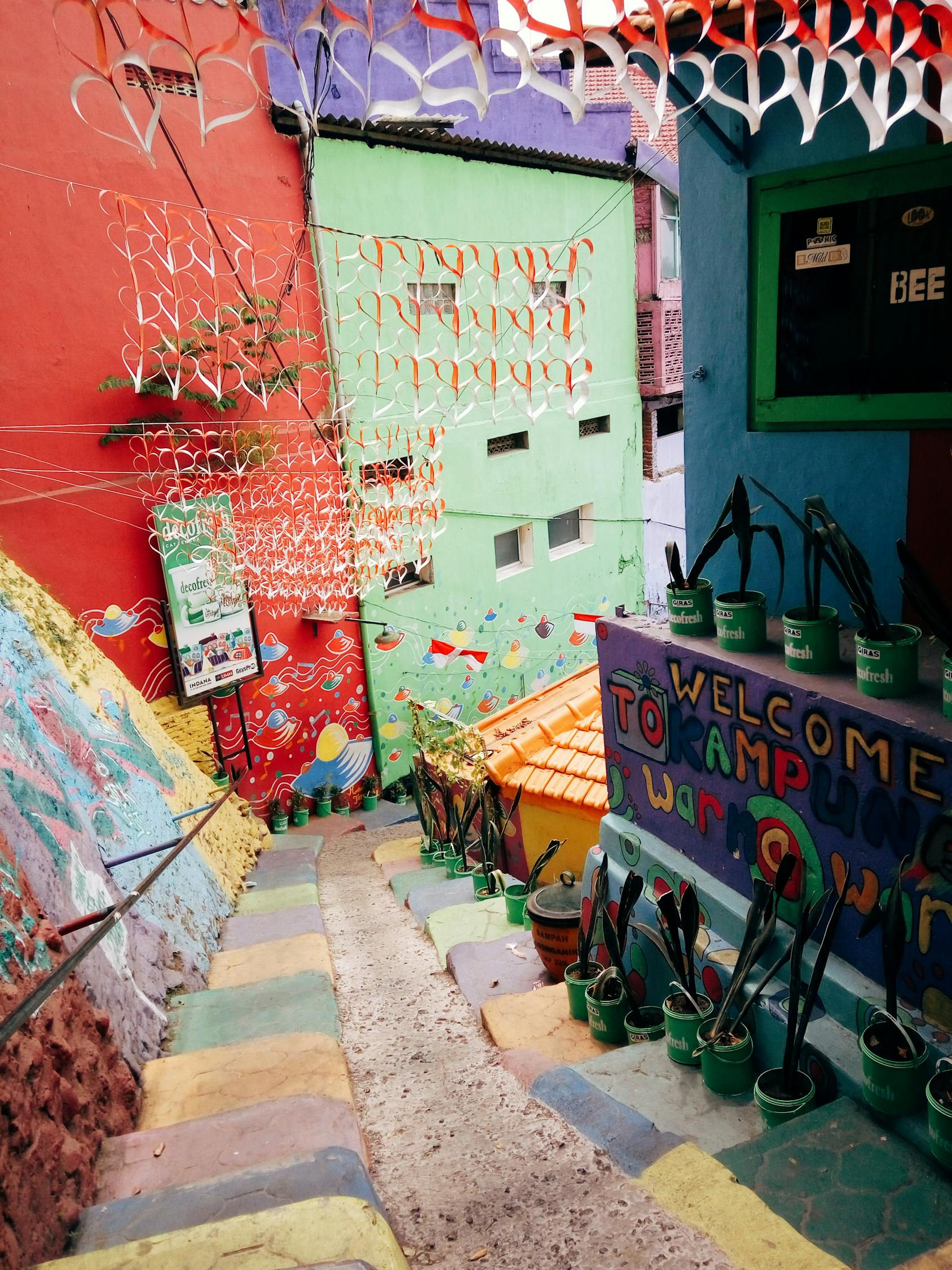 福州最新展览资讯与艺术魅力的探索