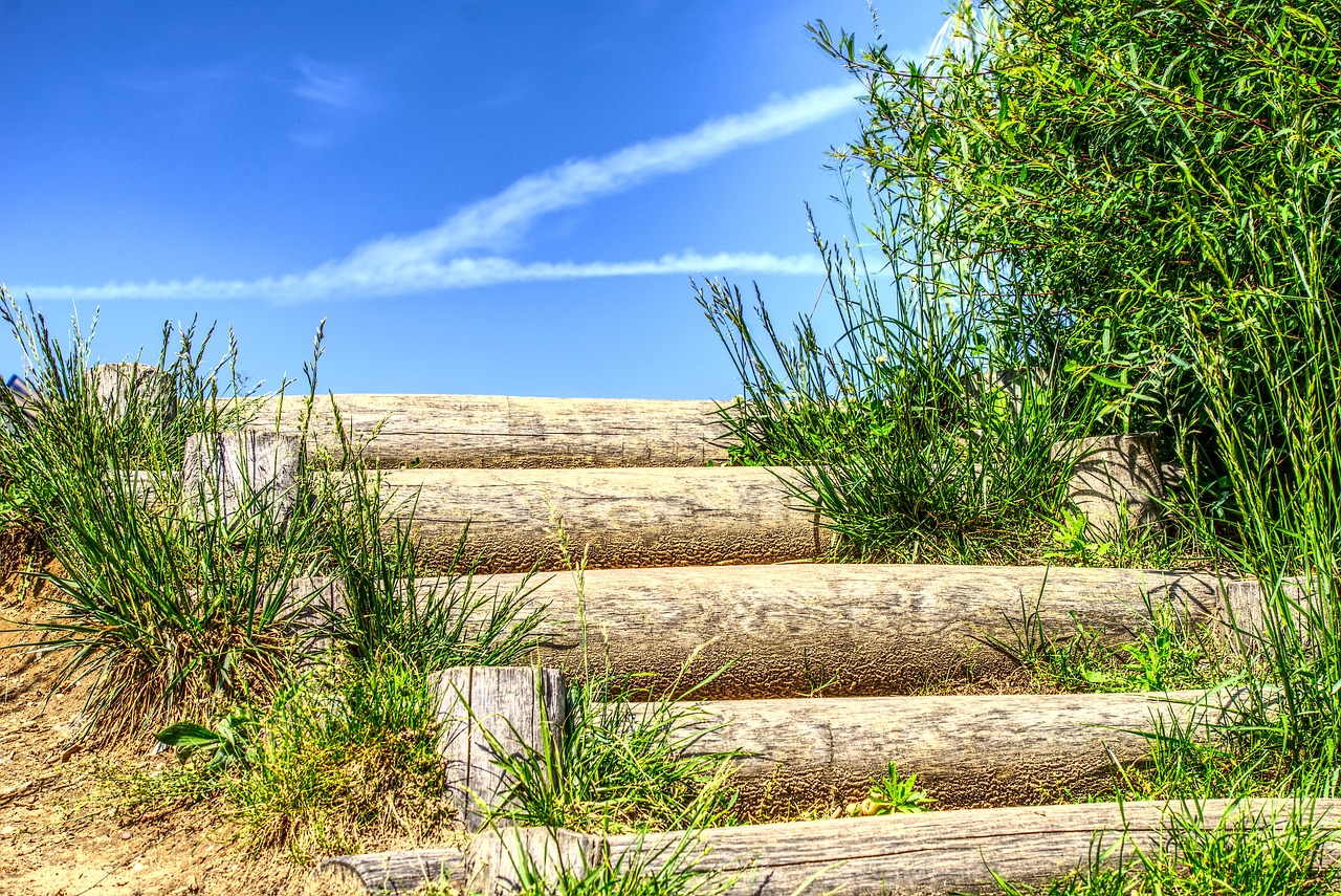 晋城东站最新动态,现代化交通枢纽的崛起与发展