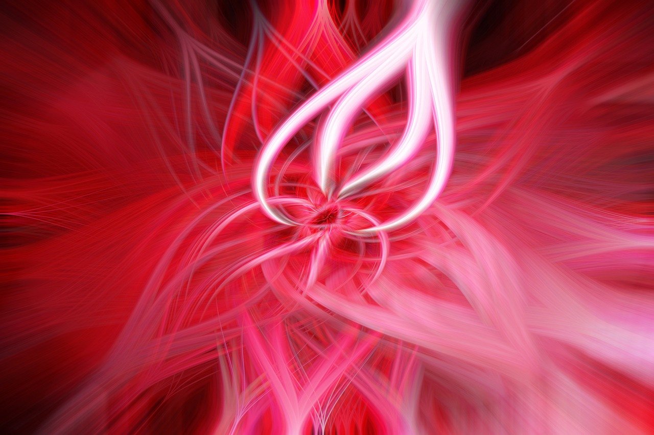 钟吾网最新动态及未来发展展望概览