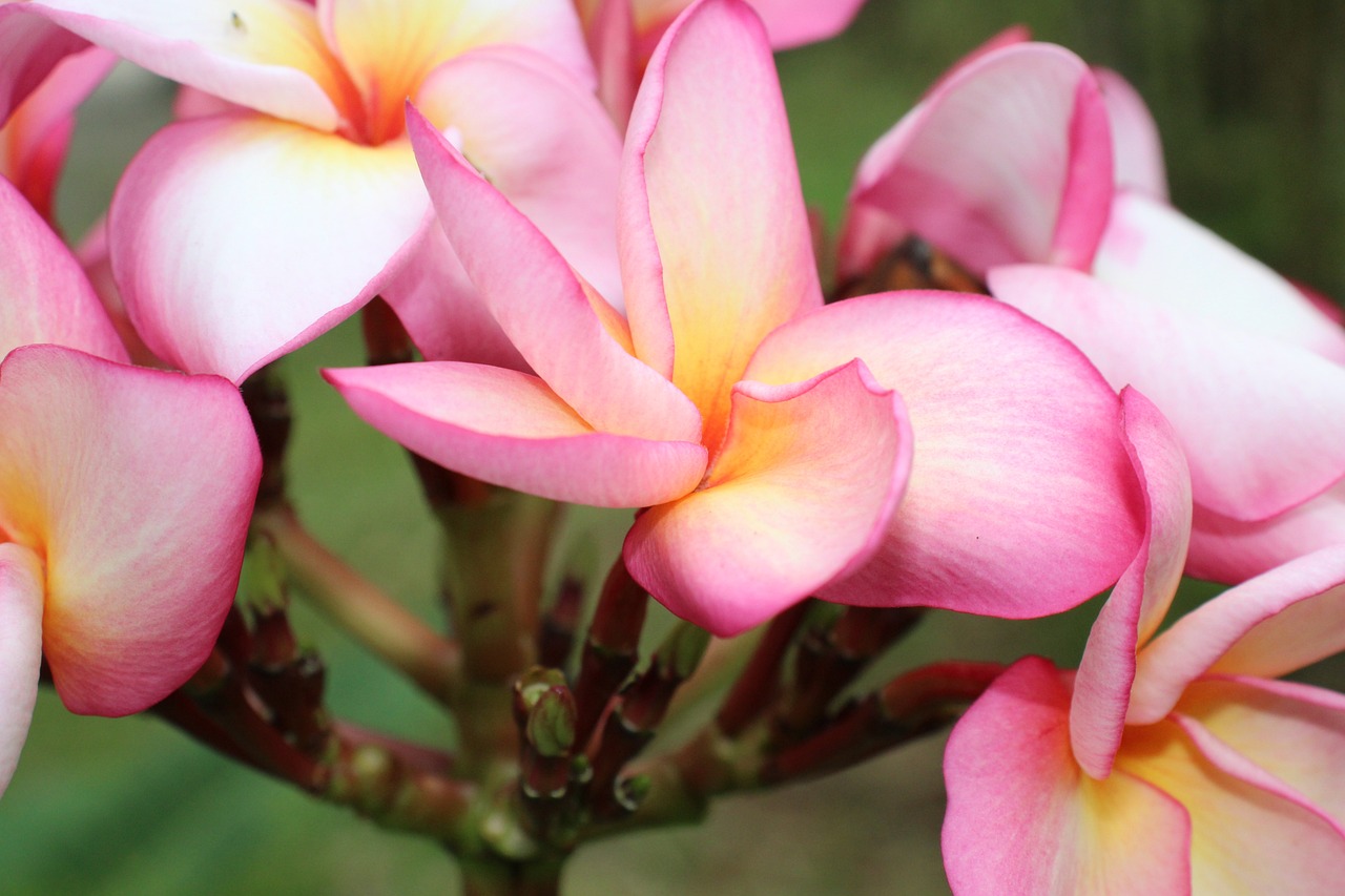 中国最新划省动态,深刻重塑地方发展格局的变革