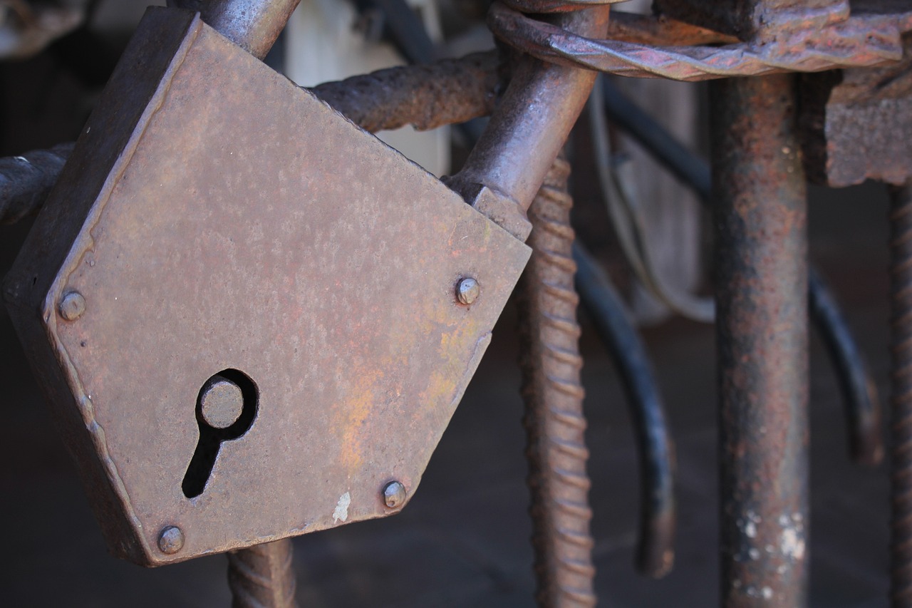 翠华山最新动态揭秘，展现新时代风采，揭开神秘面纱