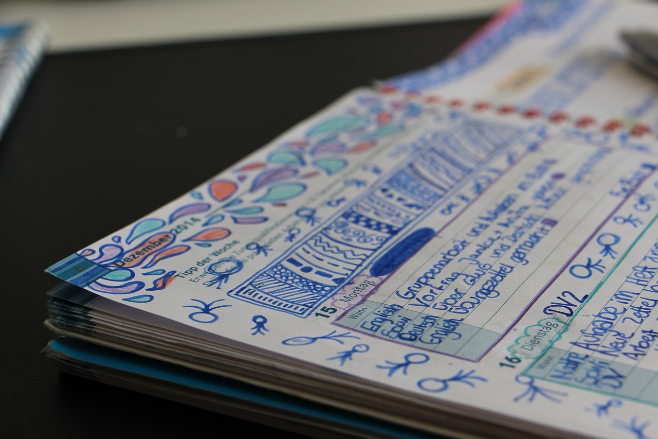 辽宁鞍山最新信息概览，全面解读鞍山动态更新资讯