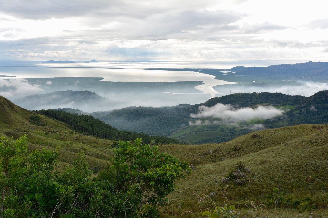 最新猪价查询及市场动态与影响因素深度解析