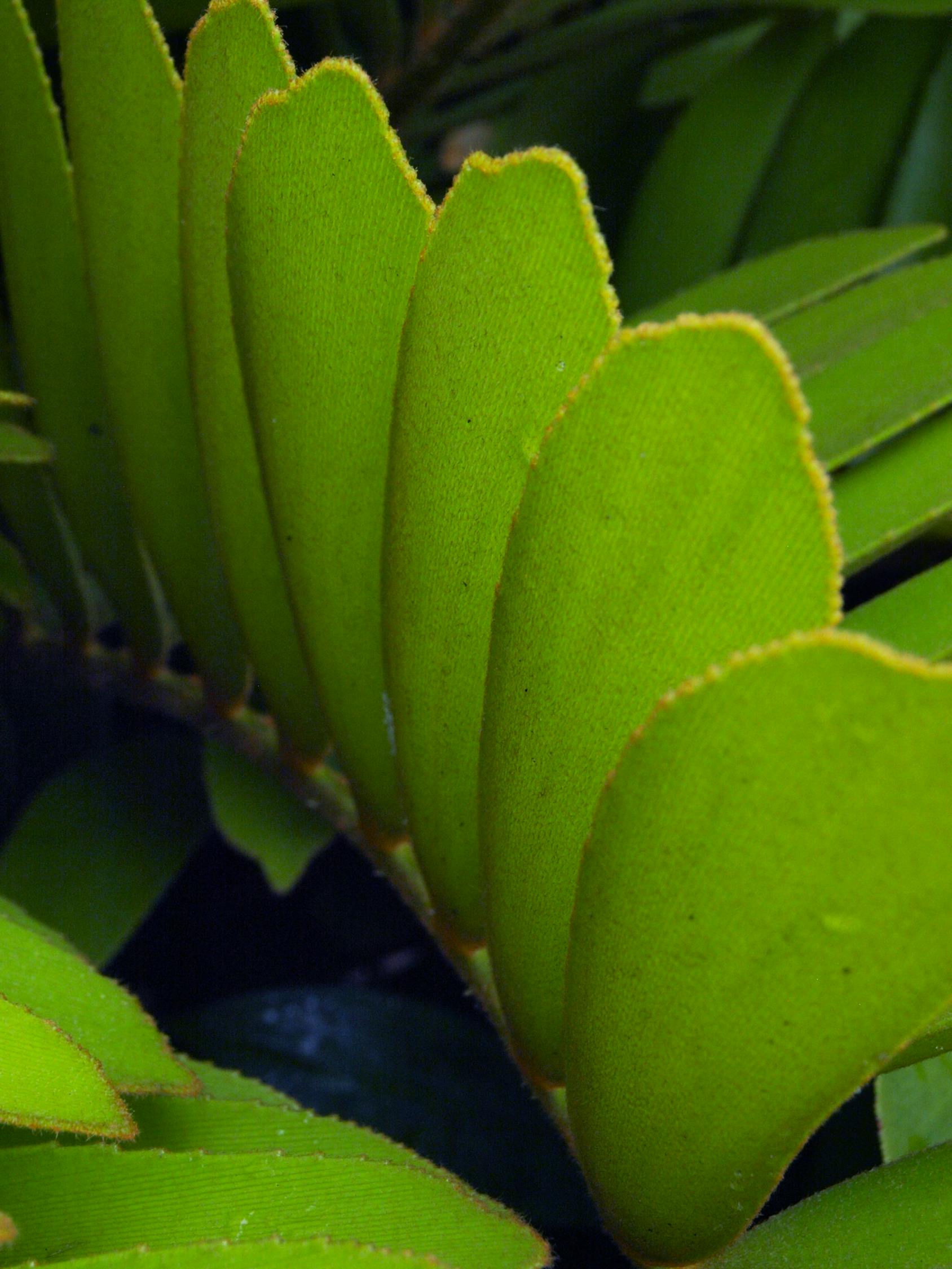 冬泉谷最新动态，探索自然之美与持续和谐共生之路