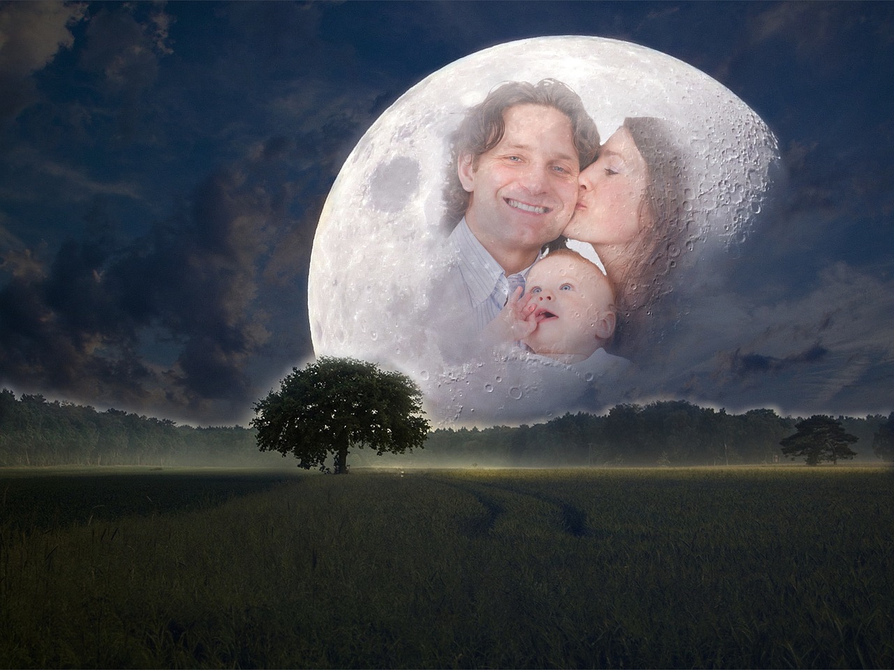 探索神秘世界的无限魅力,龙游戏凤最新版揭秘