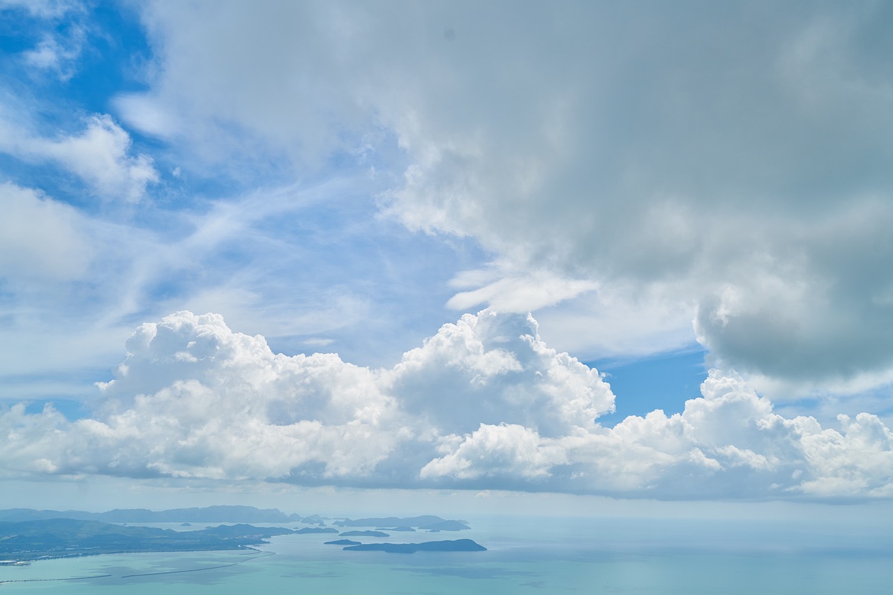 肖文阁最新动态与成就概览解析