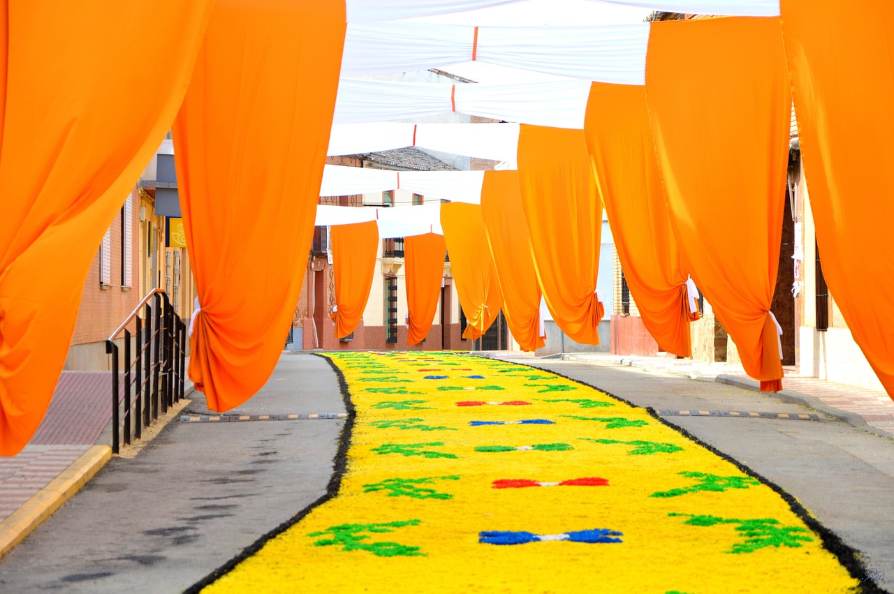 最新农业大会，探索未来农业发展新路径