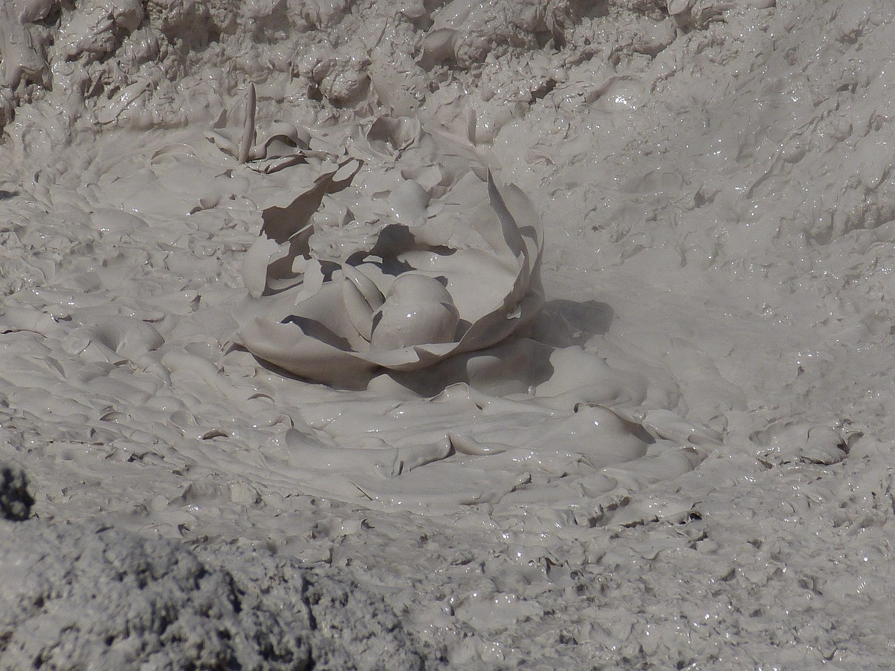 灞桥区最新发展动态概览