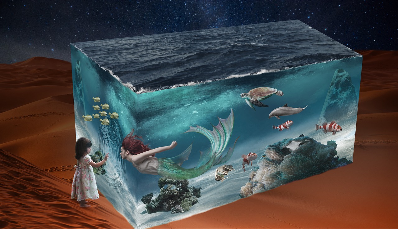 河马集市事件最新动态,深度解析与未来展望