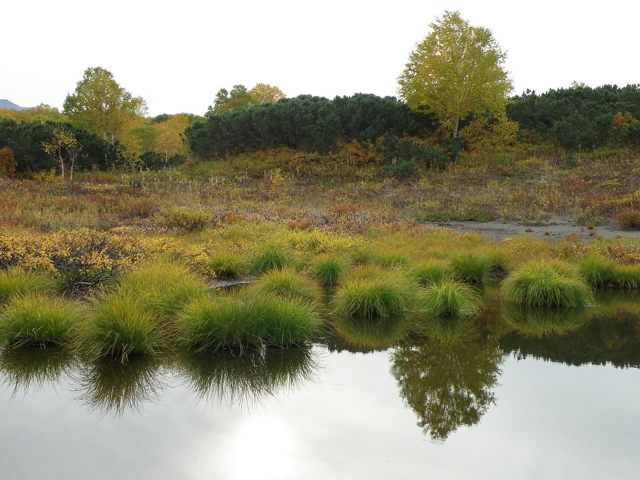 山东蛐蛐新世界探寻之旅,最新动态与发现