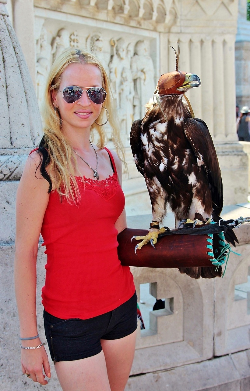 新加坡疫情最新动态,挑战与应对策略更新