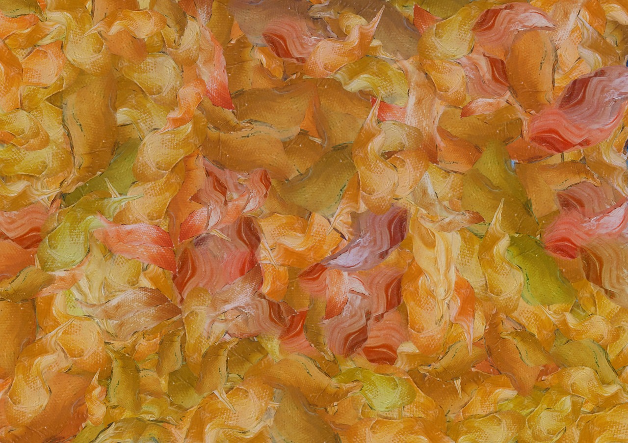 现代社交文化中的网红啪啪现象,最新动态与深度探索