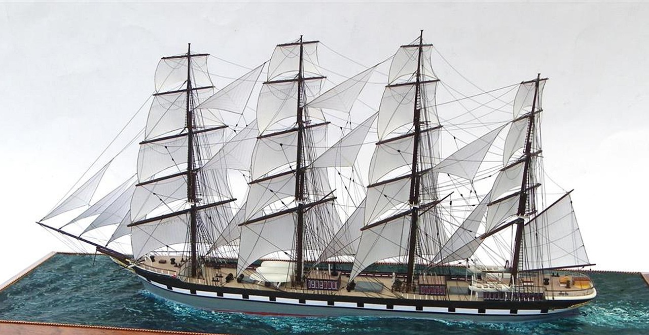 最新英语单词概览与更新动态